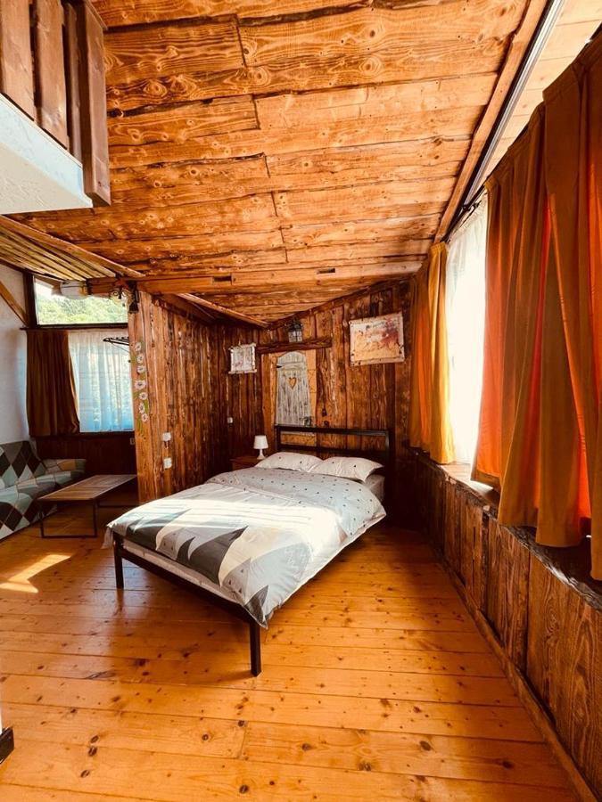 Cabana Vanatorului 8 Sohodol  Екстер'єр фото