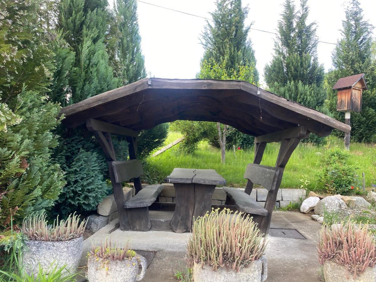 Cabana Vanatorului 8 Sohodol  Екстер'єр фото
